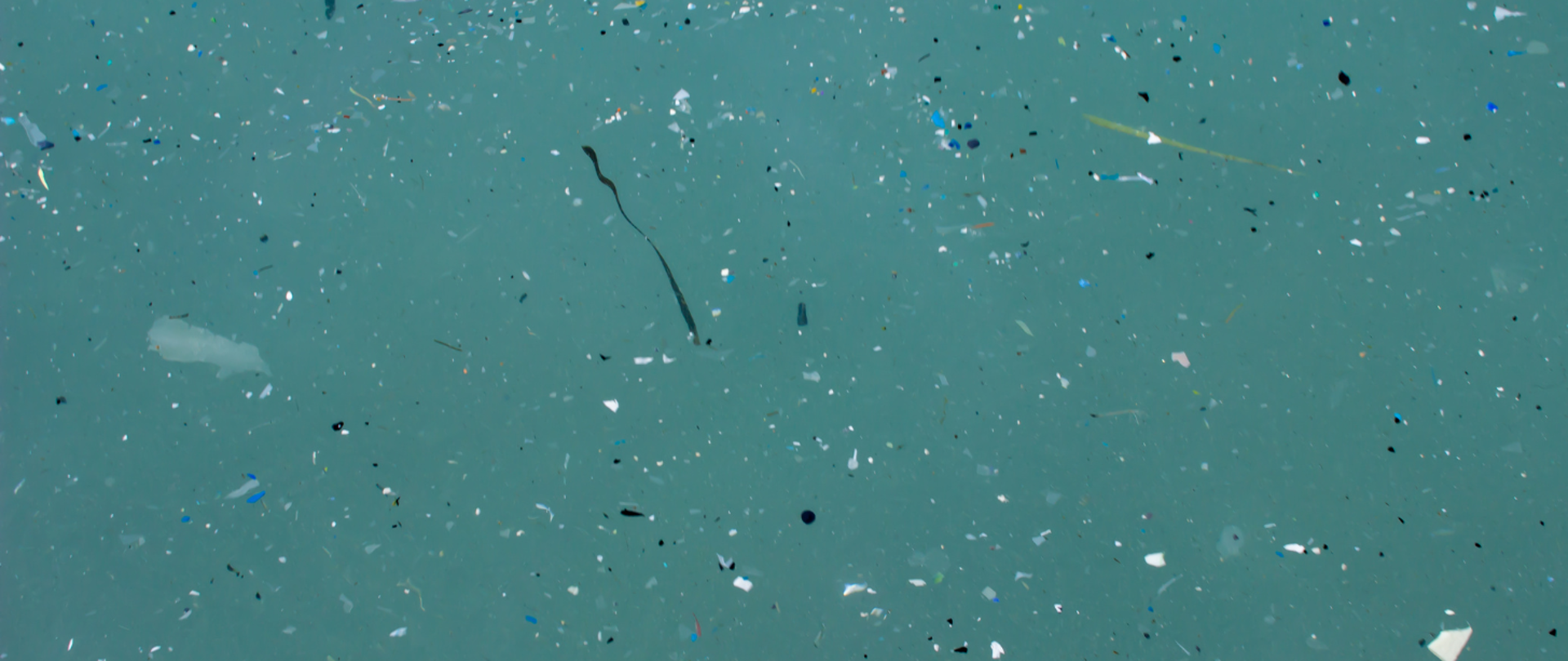 Zdjęcie drobin plastiku w wodzie