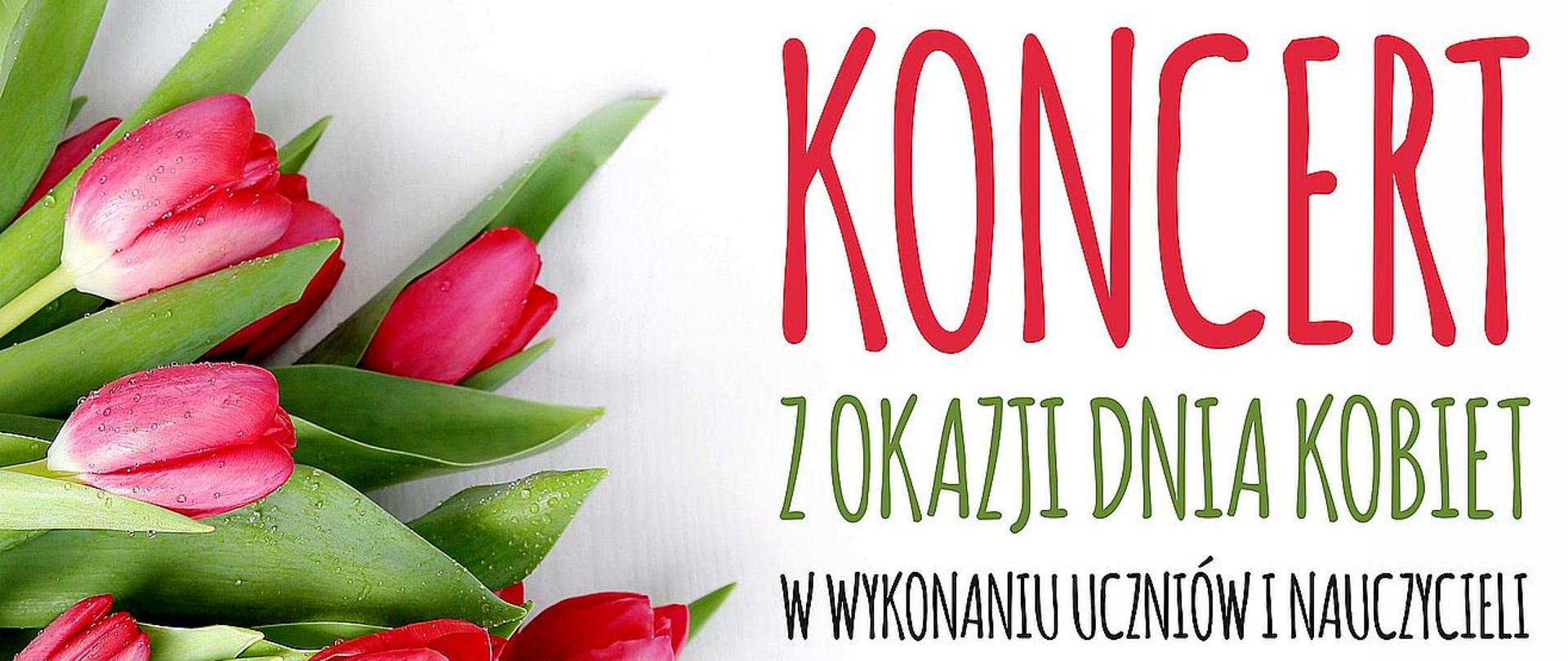 Plakat informujący o koncercie z okazji Dnia Kobiet prezentuje czerwone tulipany na białym tle.