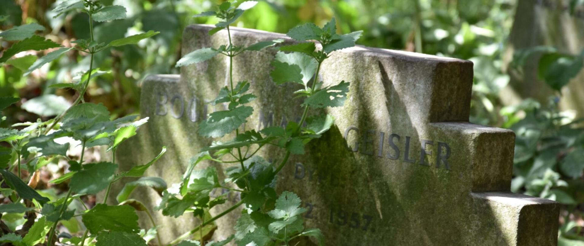 Looking after Polish graves in the UK