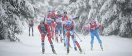 Grupa zawodników narciarstwa biegowego ściga się po ośnieżonej trasie w lesie podczas intensywnych opadów śniegu. Na czele biegnie dwóch narciarzy w czerwonych i biało-niebieskich kombinezonach, pochylonych do przodu i mocno odpychających się kijkami. Za nimi widać kolejnych zawodników w zwartej grupie. Trasa prowadzi między gęsto ośnieżonymi drzewami iglastymi.