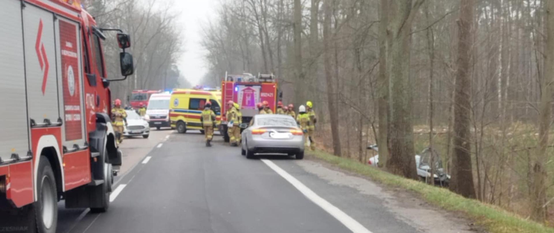 Na dwupasmowej drodze stoją wozy straży pożarnej, karetka pogotowia i kilka samochodów. Strażacy i ratownicy znajdują się na jezdni. Po prawej stronie drogi widać las oraz samochód, który zatrzymał się w zaroślach poza jezdnią. Scena wygląda na zabezpieczenie miejsca wypadku.