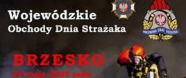 Wojewódzkie Obchody Dnia Strażaka 2025 w Brzesku.