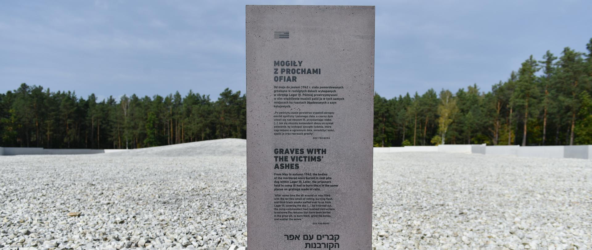 80. rocznica powstania więźniów obozu zagłady w Sobiborze fot. Wojtek Jargiło/PAP