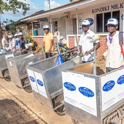 Support of development of productivity, competitiveness, scale of operation of local dairy co-ops in Kilimanajro region
