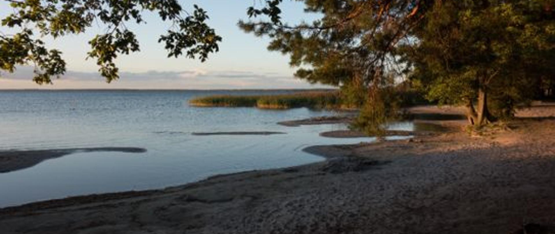 Dzikie kąpieliska 