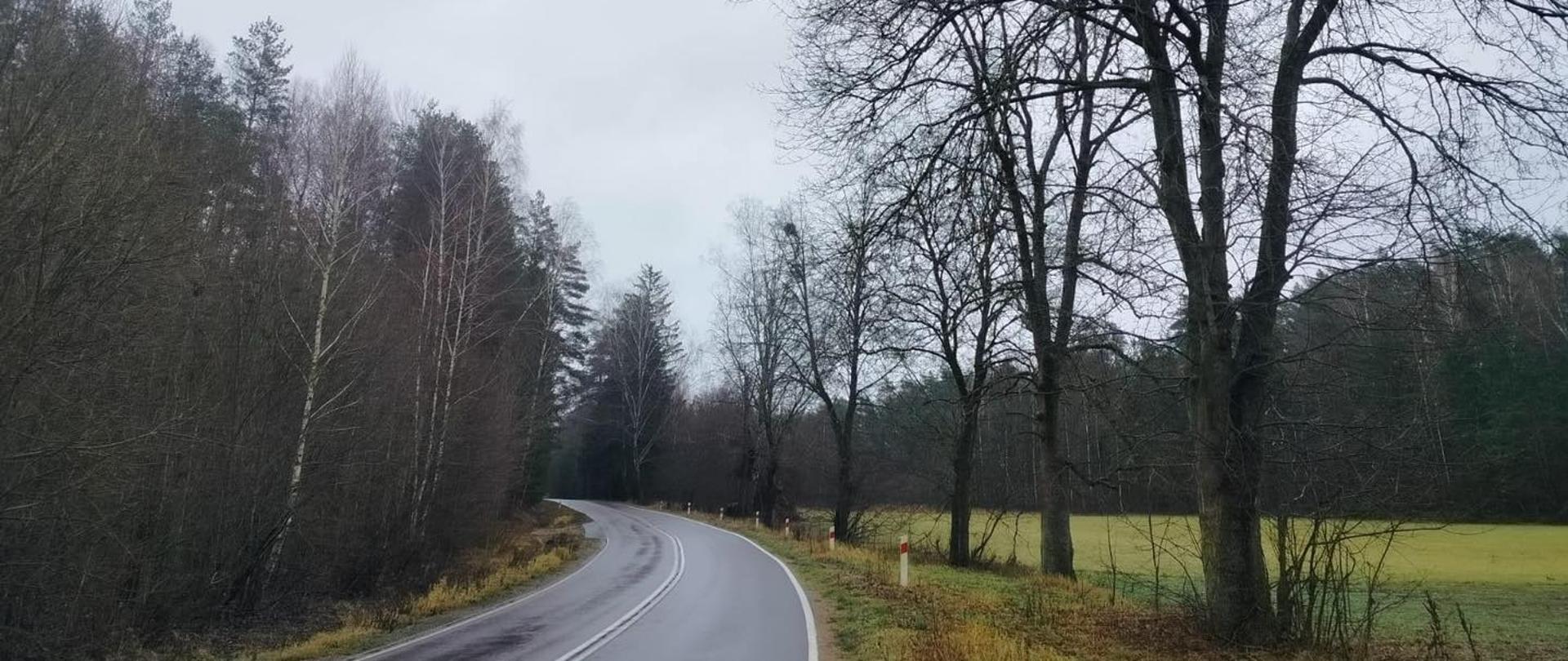 Udało się ocalić ponad 400 drzew