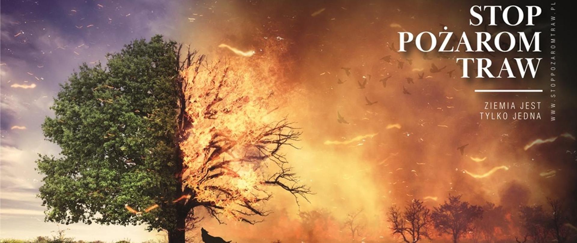 Na zdjęciu znajduje się w połowie spalone drzewo w górnym narożniku po prawej stronie napisy: Stop Pożarom Traw, Ziemia jest tylko jedna, www.stoppozaromtraw.pl