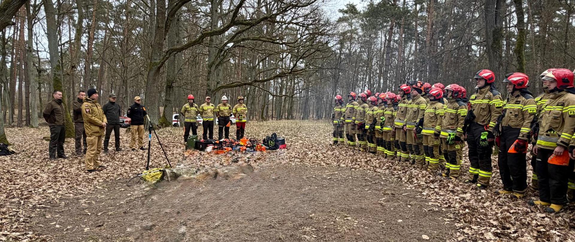 Praktyczna część szkolenia z zakresu obsługi pilarek w Nadleśnictwie Łopuchówko