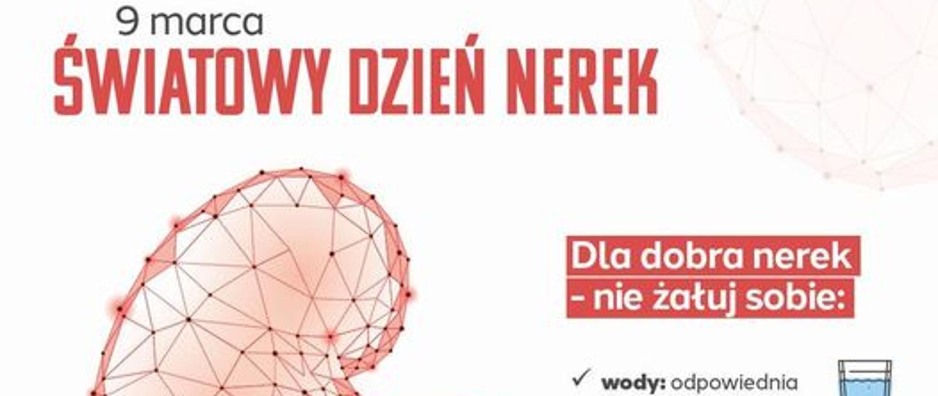 9 marca Światowy Dzień Nerek
