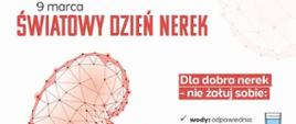 9 marca Światowy Dzień Nerek - format panorama