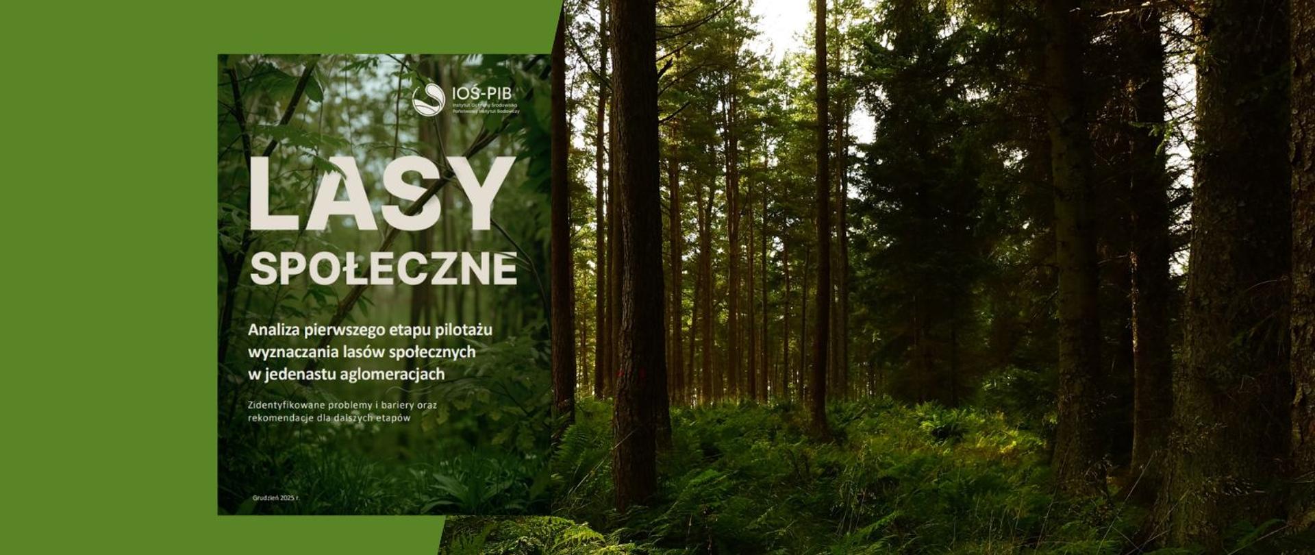 Na zdjęciu widnieje pierwsza strona raportu LASY SPOŁECZNE - analiza pierwszego pilotażu wyznaczania lasów społecznych w jedenastu aglomeracjach.