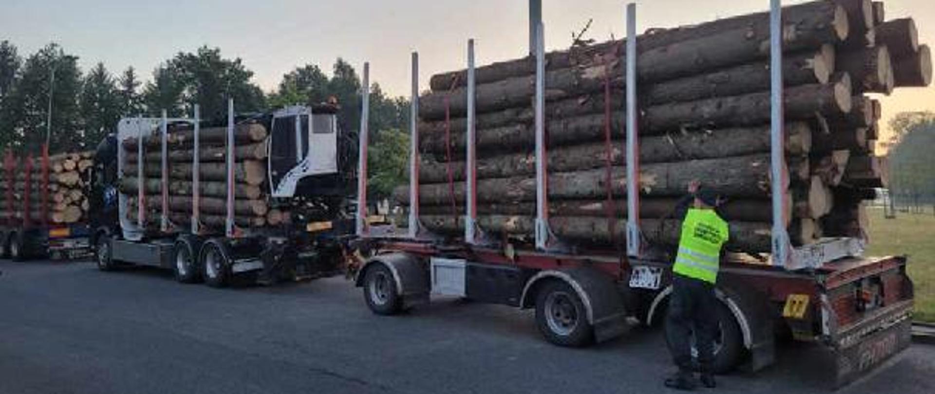 Kontrole nienormatywnych przewozów na łódzkich odcinkach autostrad A1 i A2. Na zdjęciu zespoły pojazdów przewożące drewno.