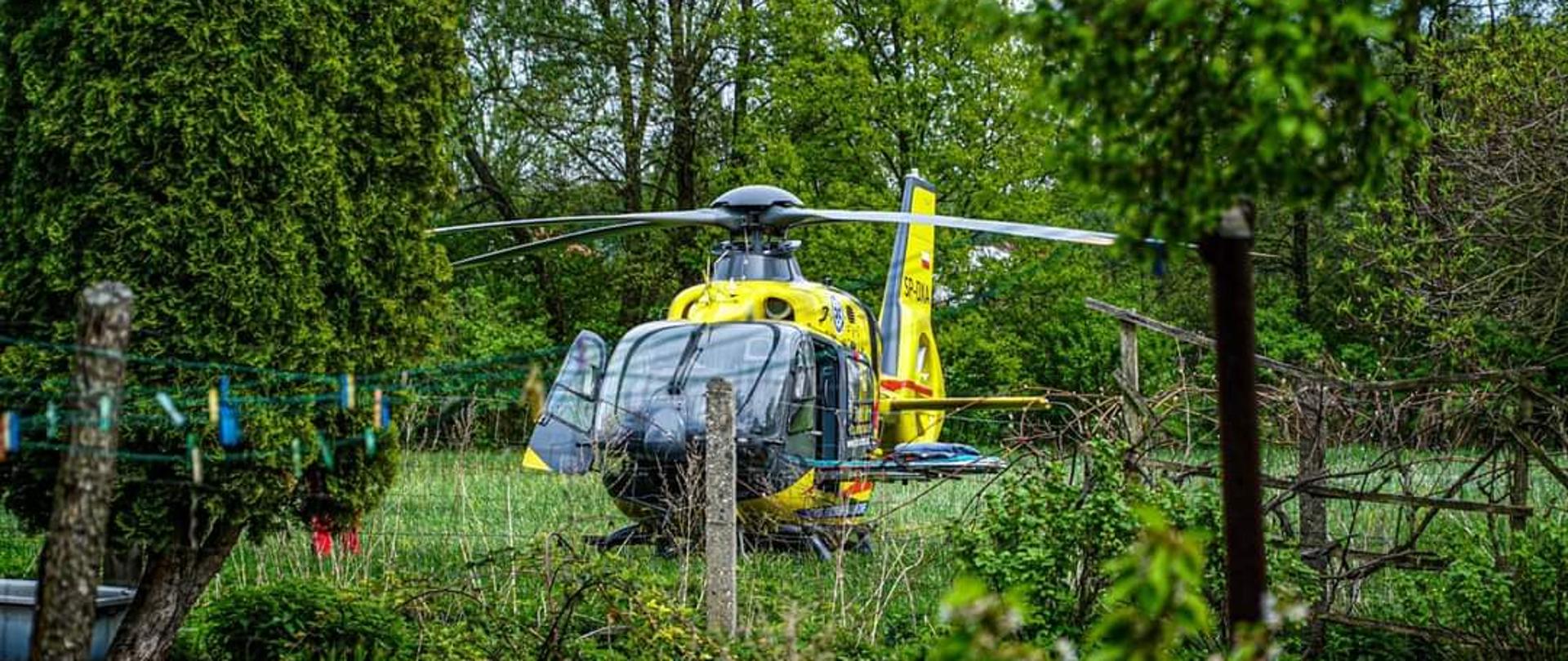 Zdjęcie przedstawia działania ratownicze polegające na udzieleniu kwalifikowanej pierwszej pomocy nieprzytomnej kobiecie. Na zdjęciu widoczny śmigłowiec LPR biorący udział w zdarzeniu. Zdjęcie wykonane na łące w porze dziennej.