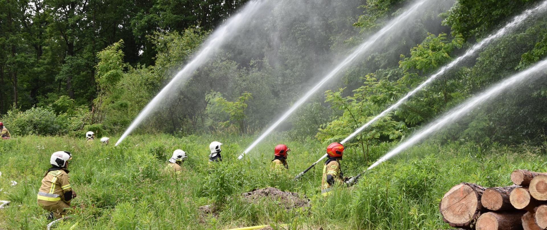 Na zdjęciu widoczni strażacy z liniami gaśniczymi, trwa podawanie wody, prądy wody skierowane na las.