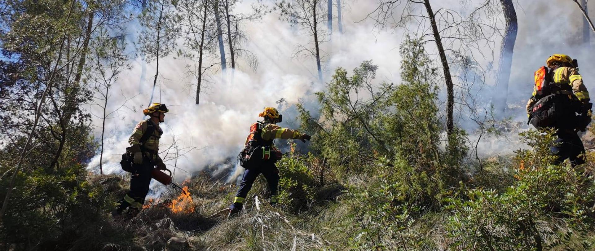 Na zdjęciu przedstawiono strażaków gaszących pożar lasu