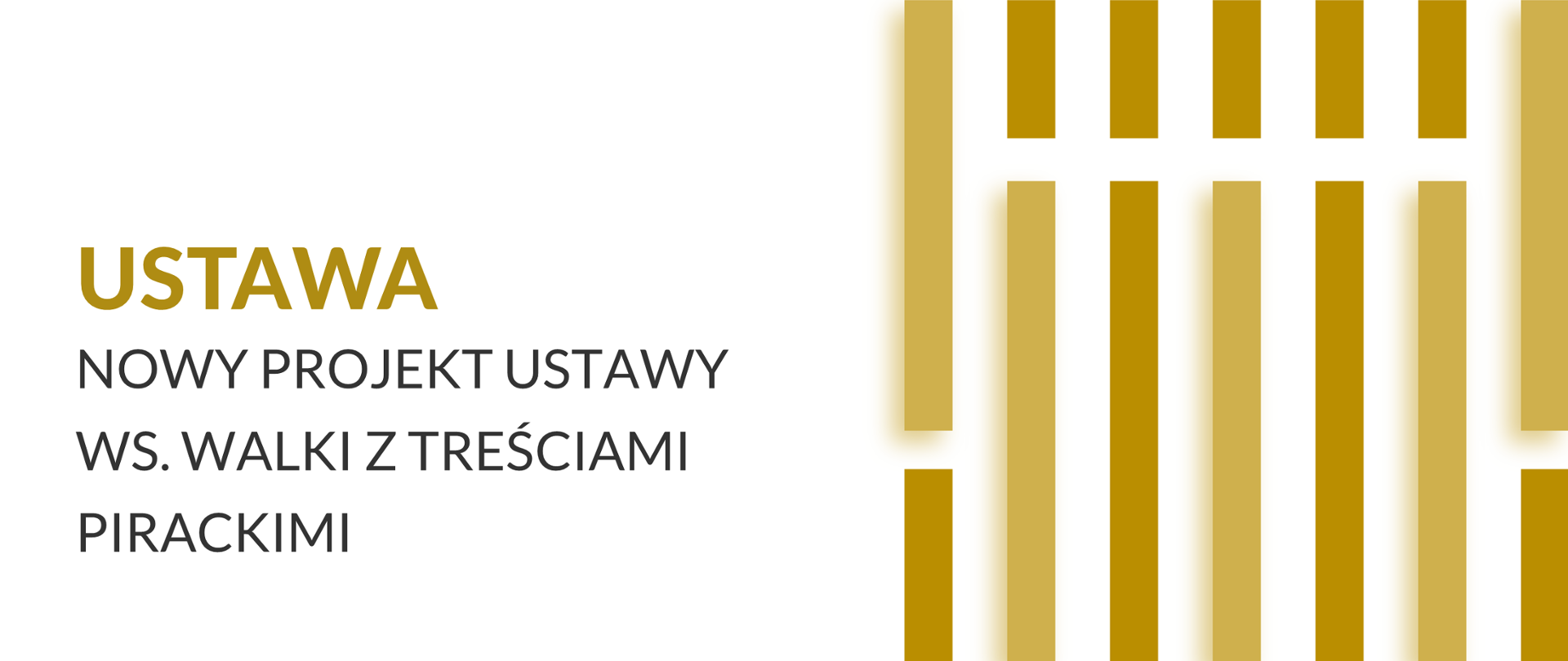 Projekt ustawy wprowadzającej nowoczesny system walki z treściami pirackimi 