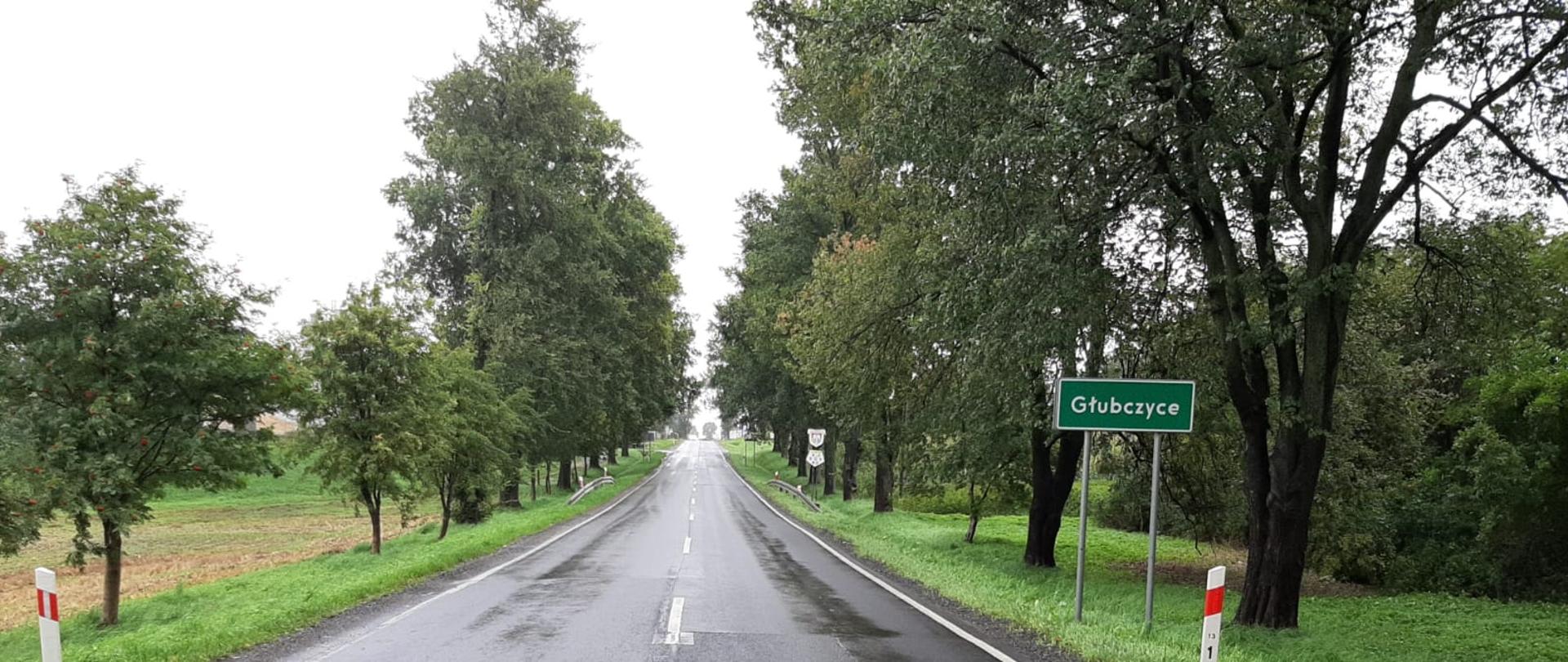 DK38 na odcinku Nowe Gołuszowice - Głubczyce