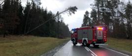 Zdjęcie przedstawia samochód pożarniczy wstrzymujący ruch drogowy i drzewo pochylone i oparte na lini wysokiego napięcia przy drodze krajowej nr 22