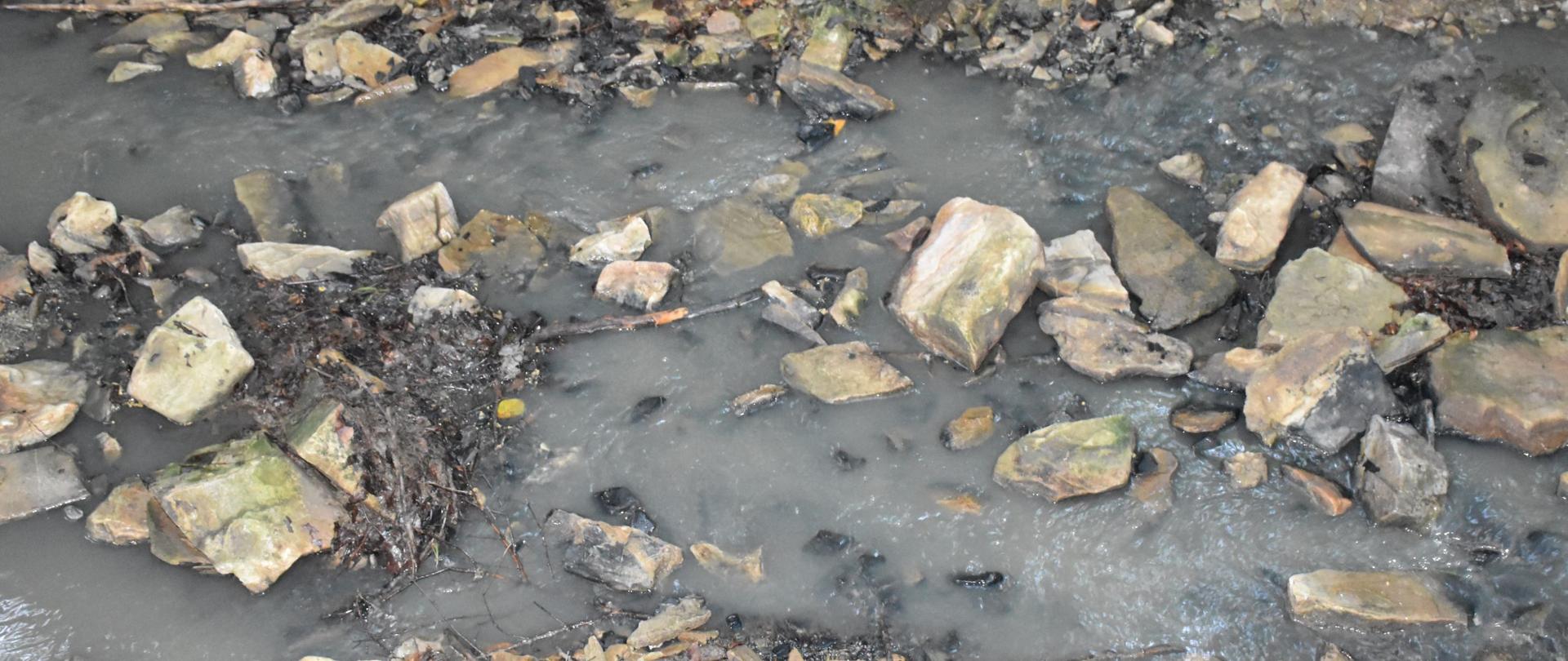 Kontrola WIOŚ w Rzeszowie Delegatury w Przemyślu w związku ze zgłoszeniem zrzutu ścieków w Arłamowie – miejsce zrzutu (fot. WIOŚ w Rzeszowie)