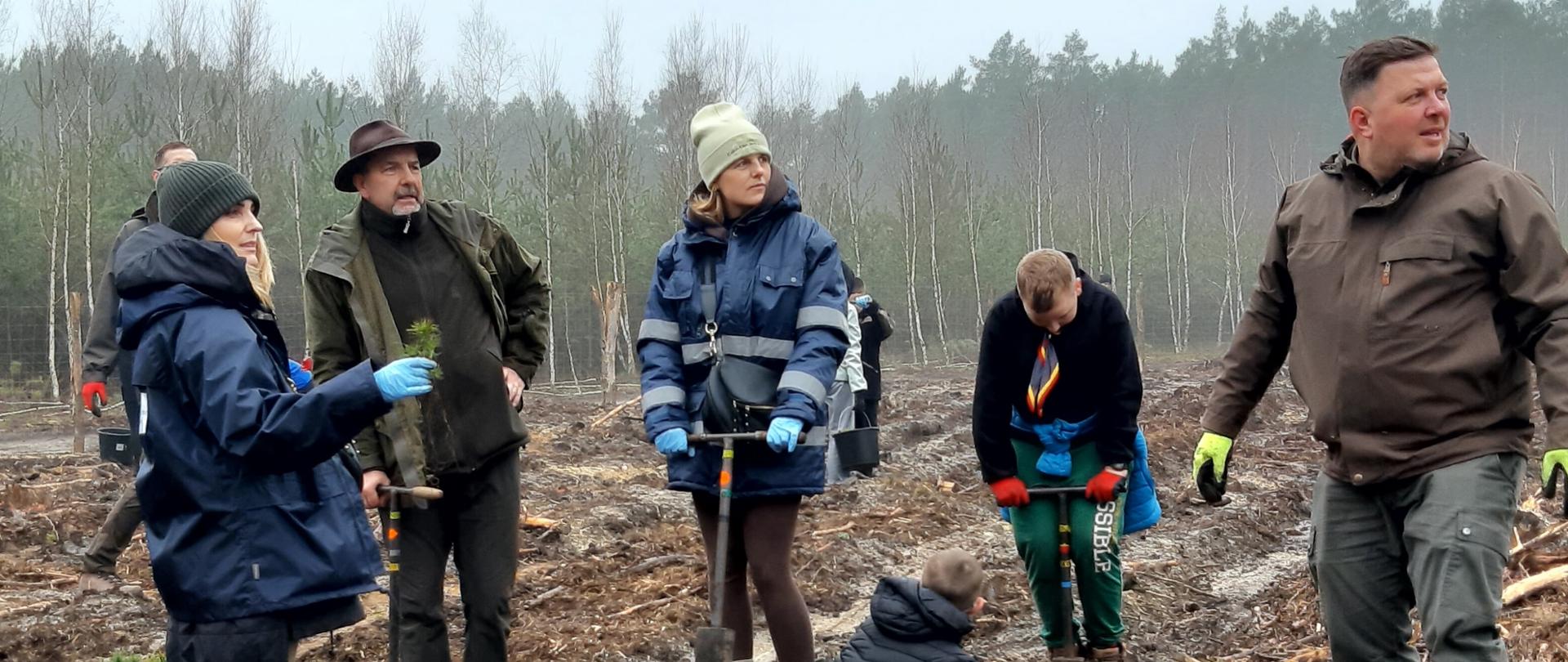 Akcja sadzenia drzew z udziałem pracowników Zarządu Zlewni w Zgorzelcu.
