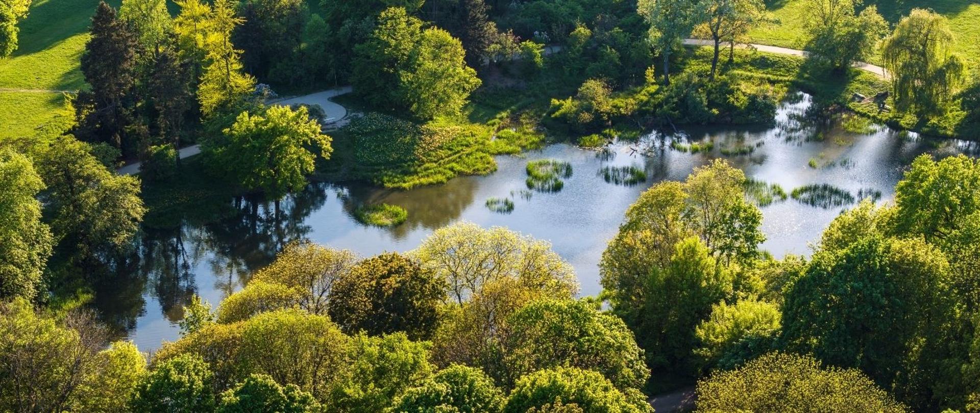 zdjęcie przedstawia park Skaryszewski w Warszawie.
