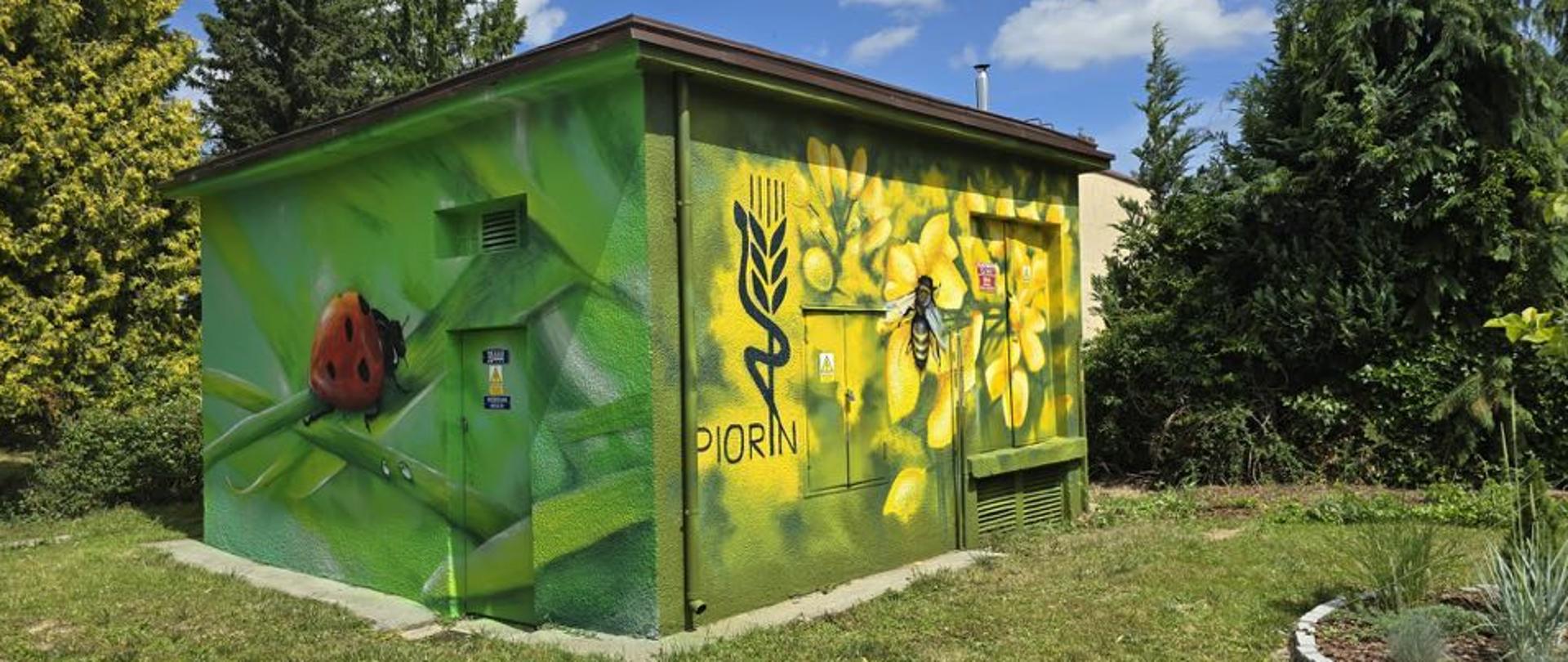 Odsłonięcie muralu w Koszalinie