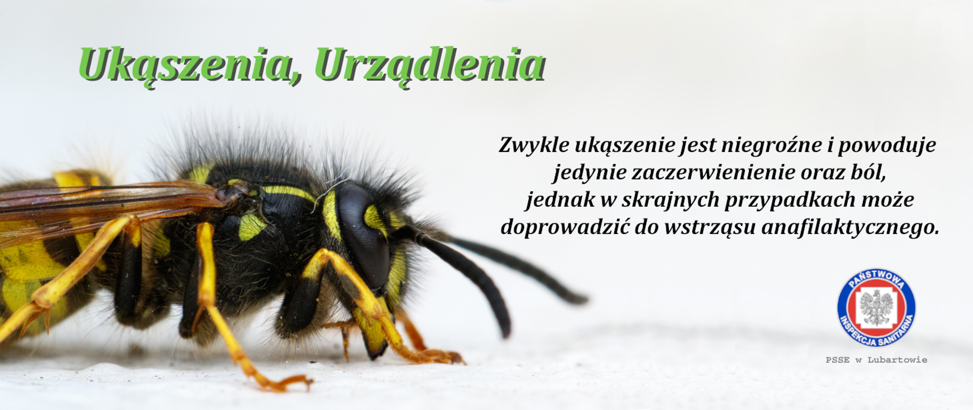 Ukąszenia