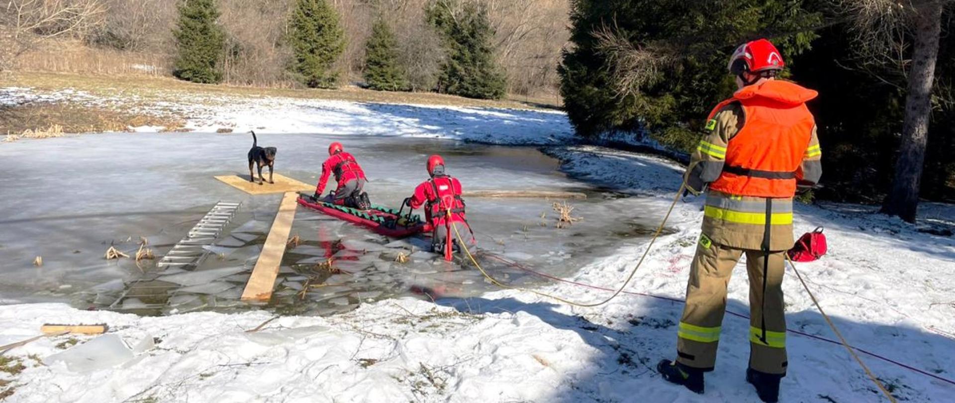 Na zdjęciu znajduje się pies na tafli lodu. Pies siedzi na płycie osb i prowadzą do niego deski. Do psa zbliżają się strażacy zabezpieczeni w sprzęt ratownictwa lodowego na saniach lodowych. Na brzegu stoi trzeci strażak który asekuruje znajdujących się na lodzie strażaków. 