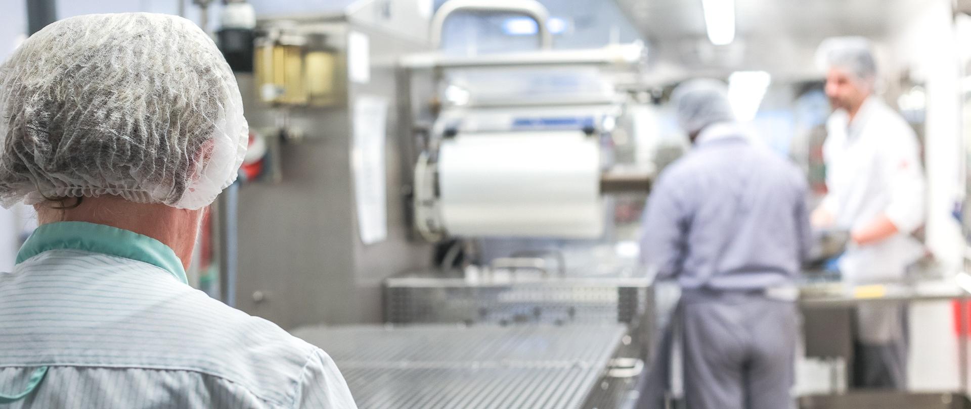 zdjęcie przedstawia osoby pracujące w kuchni