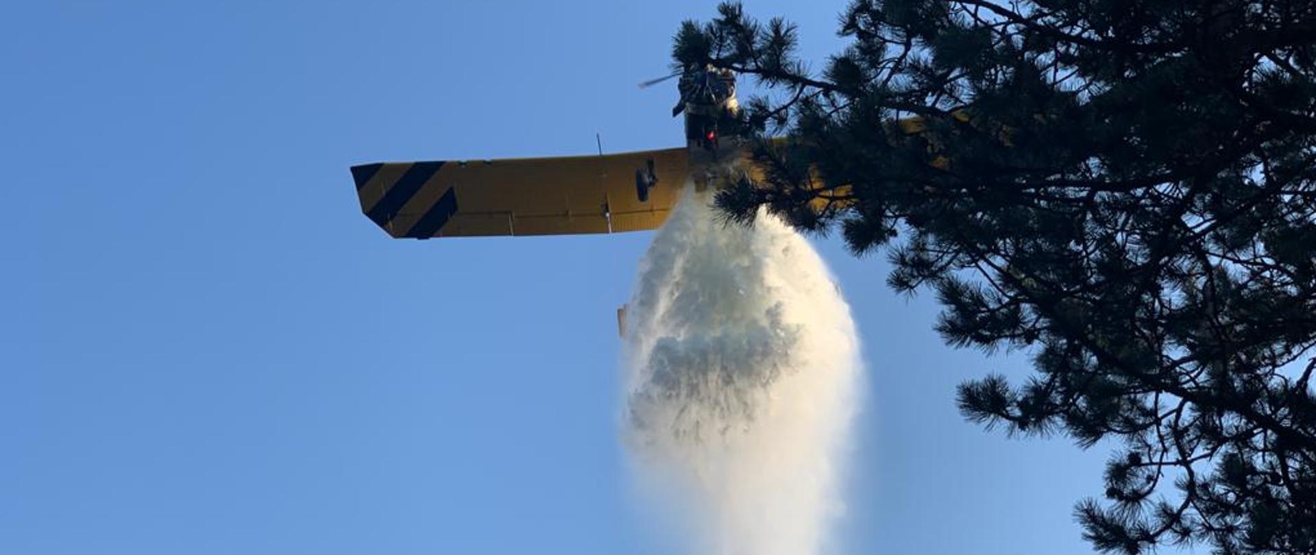 Pożar lasu na Górze Radunia