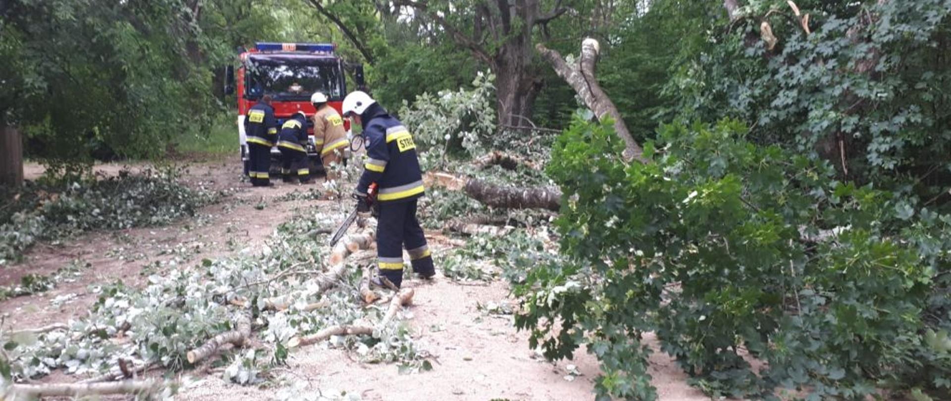Przed czerwonym strażackim wozem bojowym stoi czterech strażaków w ubraniach specjalnych. Jeden trzyma pilarkę do drewna. Na około leżą połamana gałęzie i konary.