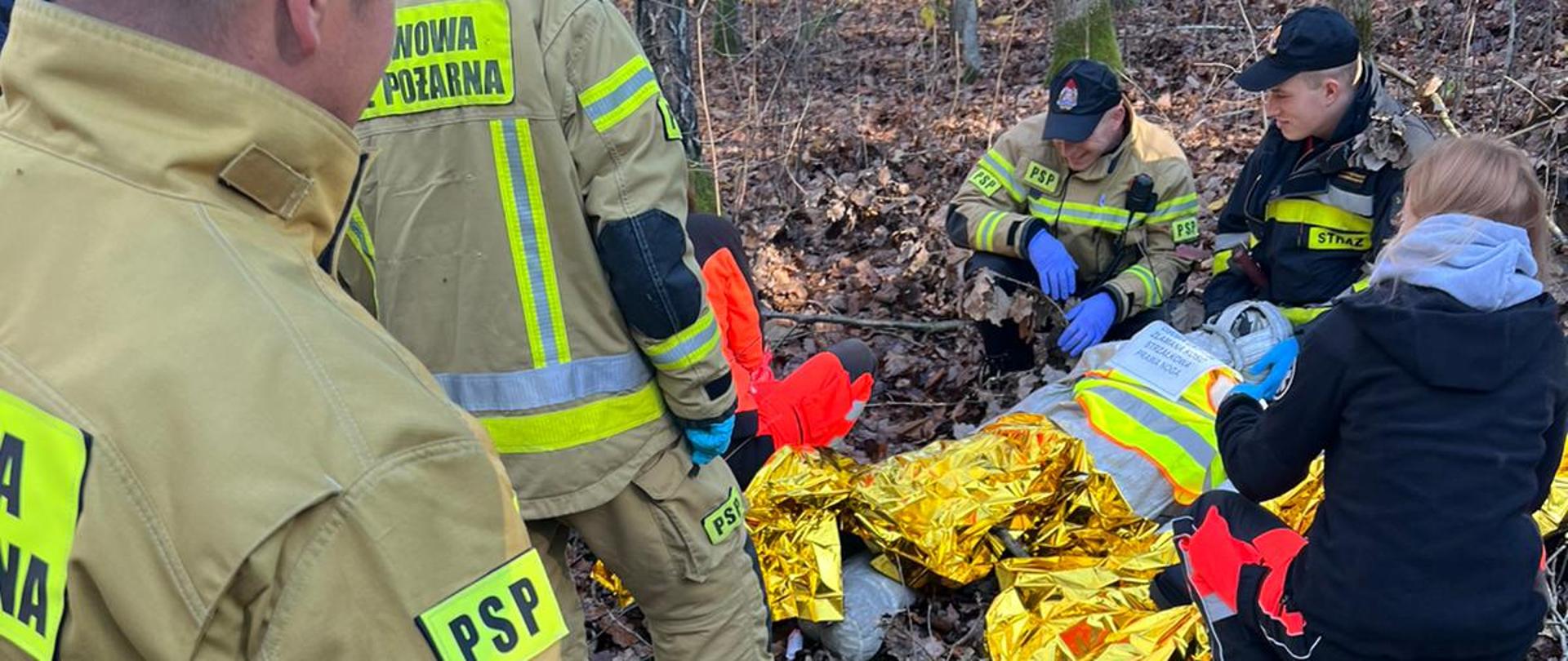 Strażacy z ratownikami medycznymi symulują udzielenie pomocy medycznej manekinowi pozorującemu poszkodowanego odnalezionego w lesie.