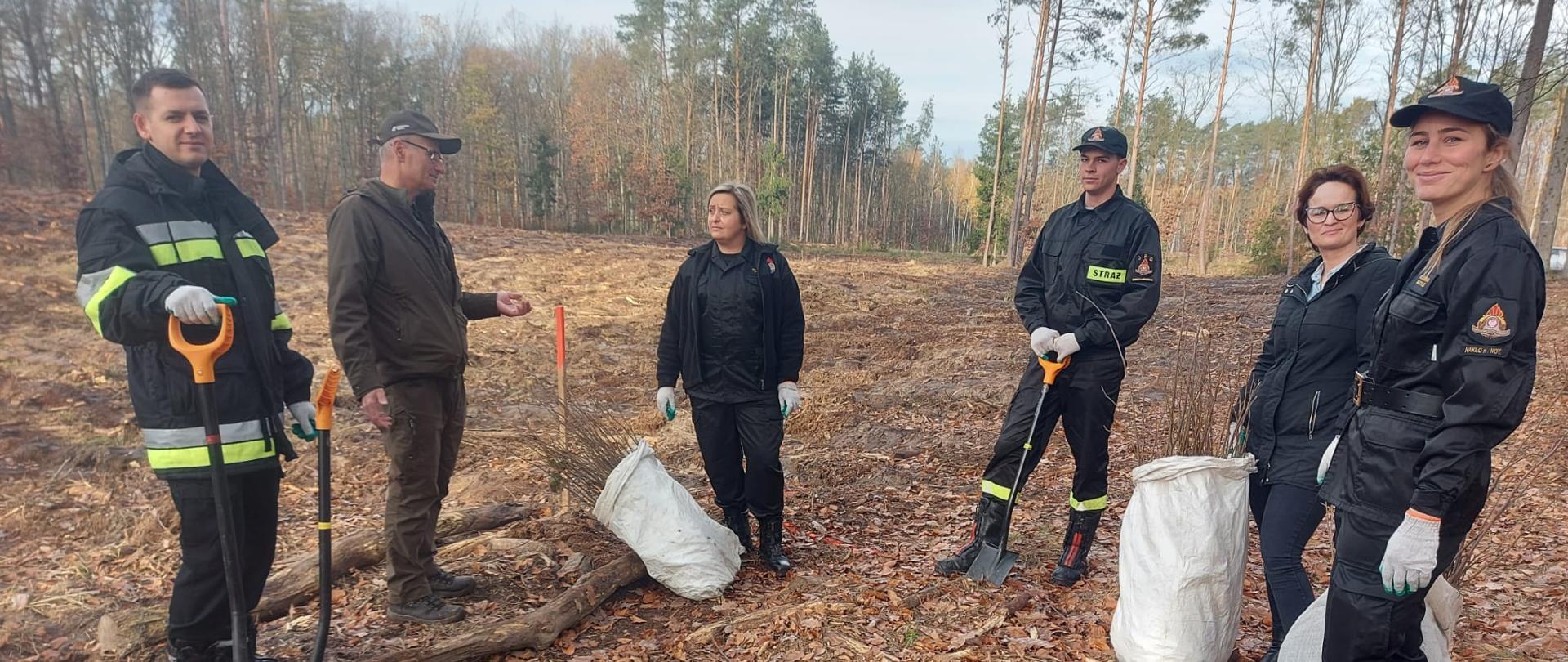 Na zdjęciu uczestnicy podczas sadzenia lasu
