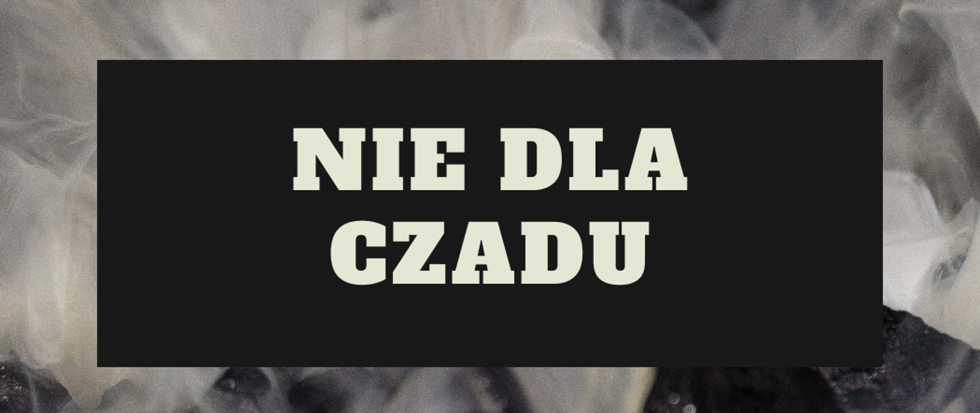 Baner na stronę – Tło przedstawia unoszący się dym lub czad nad rozżarzonymi kawałkami węgla. Na środku znajduje się czarny prostokąt z napisem 'NIE DLA CZADU' zapisanym dużymi, jasnymi literami.