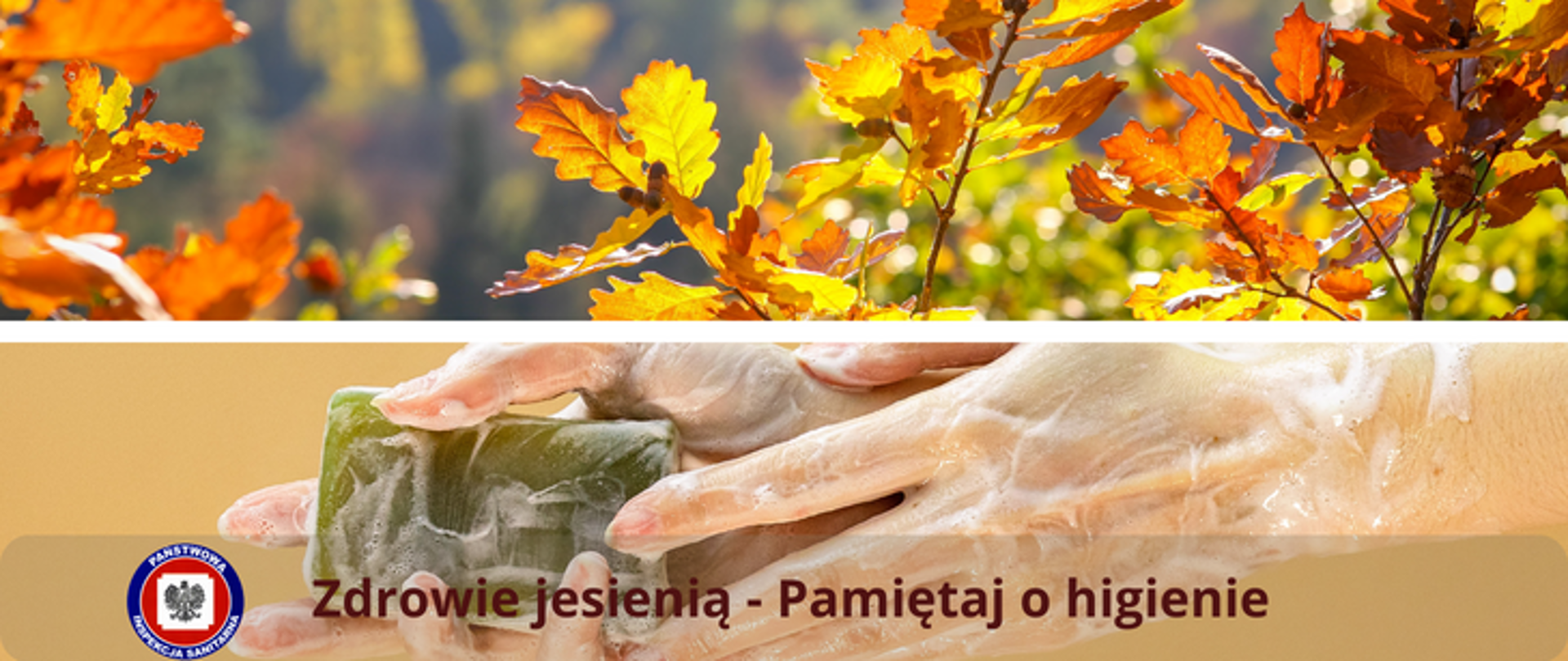 Grafika podzielona na dwie części jasnym paskiem - w górnej części żółtobrązowe liście na drzewach w słonecznym jesiennym okresie, poniżej na jasnobrązowym tle damskie dłonie całe w pianie trzymają zielone, prostokątne mydło. Na dole lekko przezroczysty pasek z brązowym napisem Zdrowie jesienią - pamiętaj o higienie a z jego lewej strony logo Państwowej Inspekcji Sanitarnej. 