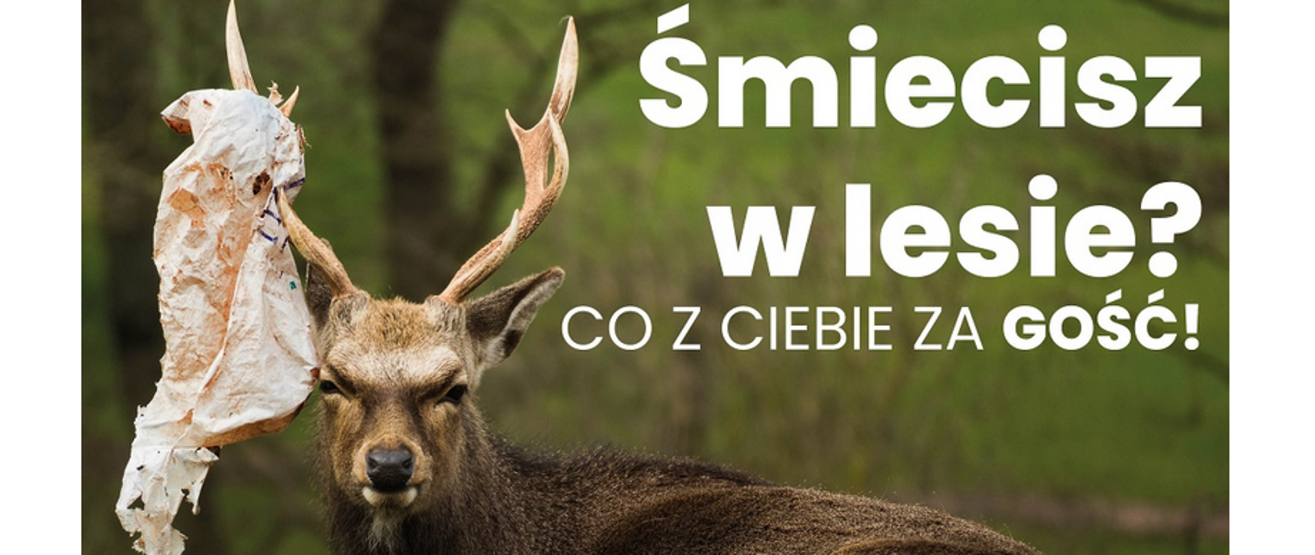 Projekt MF EOG Inwestycje w zakresie zielono-niebieskiej infrastruktury w Grodzisku Mazowieckim