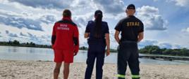 Ratownik WOPR, policjantka i strażak stojący tyłem na plaży nad wodą.