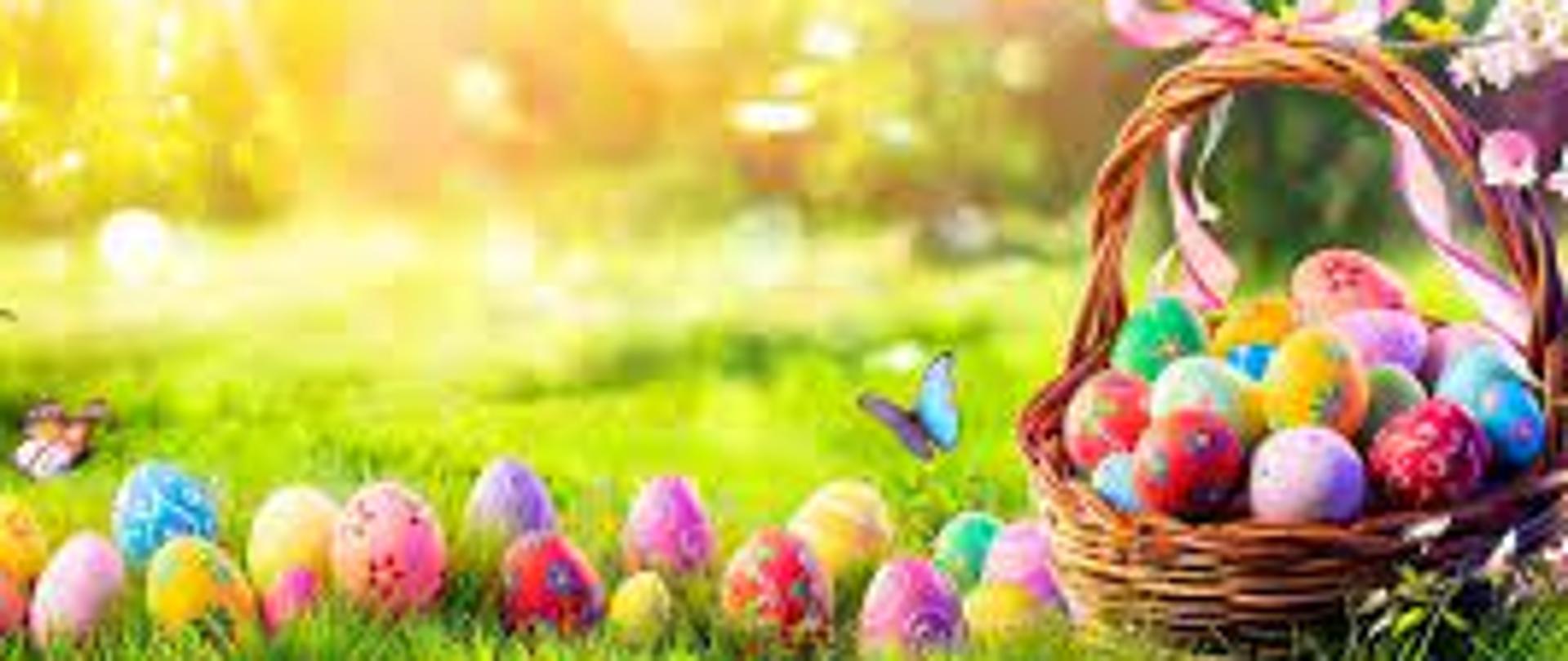 Zdjęcie - obraz przedstawiający kolorowe pisanki leżące na trawie oraz w koszyku wielkanocnym w otoczeniu gałązek kwitnącej wiśni; na całość pada promień słońca