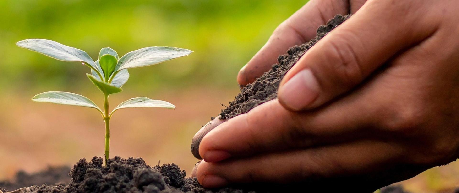 Światowy Dzień Gleby - 5 grudnia 2025 r.