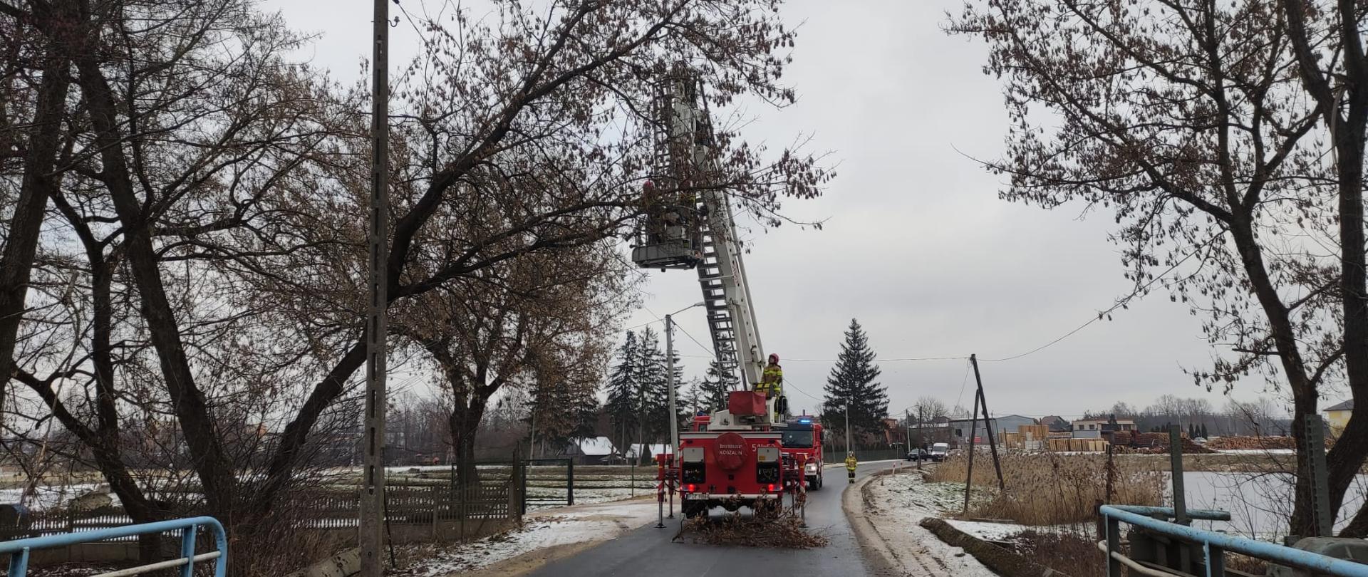 Strażacy usuwają drzewo oparte o linie energetyczne przy użyciu podnośnika koszowego. Pojazd rozstawiony na drodze.
