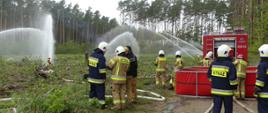 Zdjęcie przedstawia symulowany pożar lasu. Pośród młodych drzewek klęczą strażacy w ubraniach specjalnych. Z prądownic zalewają symulowany pożar. Po prawo widać tył wozu gaśniczego straży. Za nim rozstawiony duży zbiornik na wodę. W środku stoją strażacy omawiający przebieg ćwiczeń.