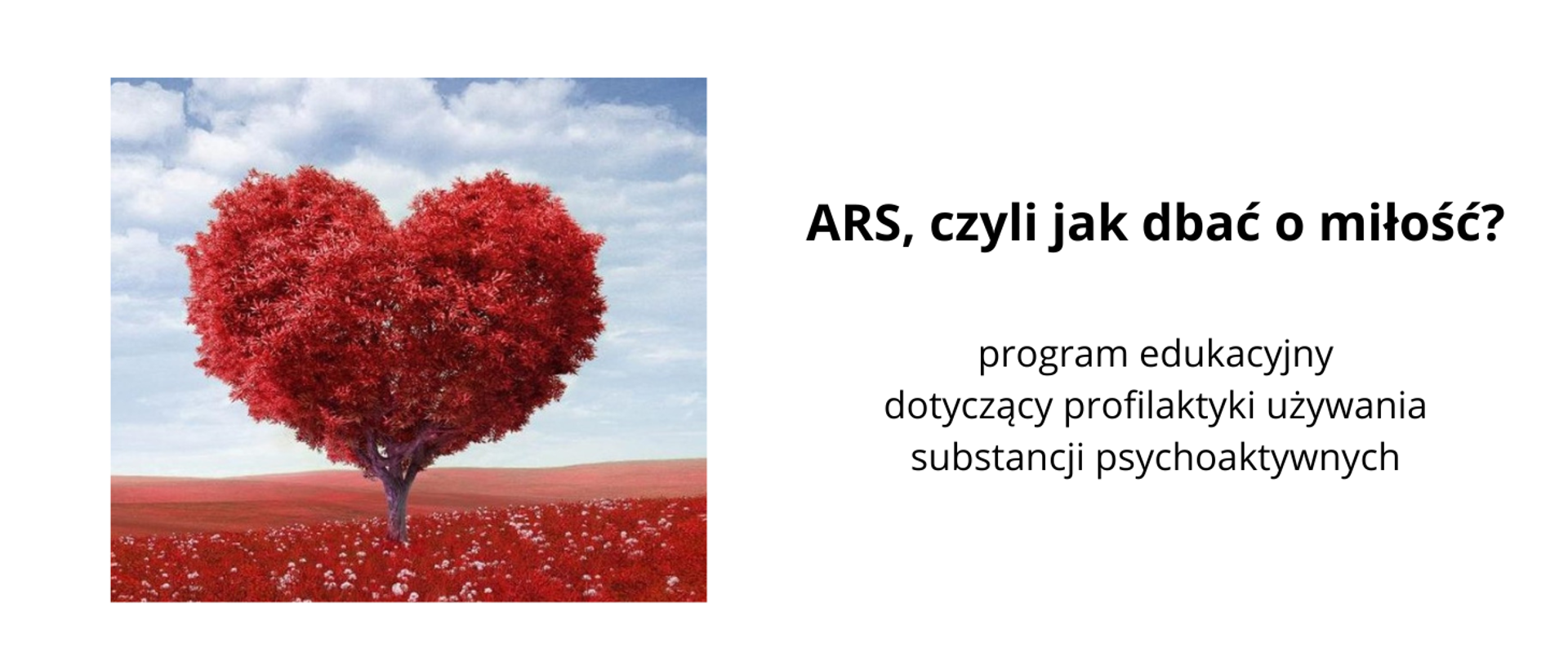 Program_ARS, czyli jak dbać o miłość?_logo 