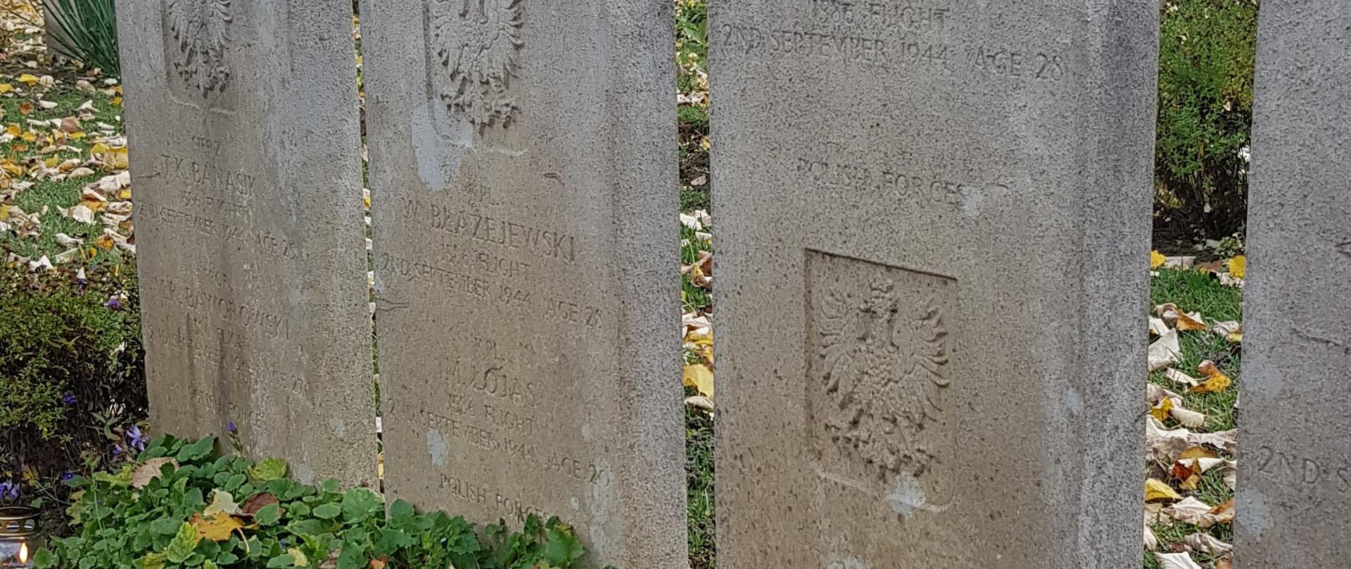 Lengyel sírok a brit katonai temetőben Solymáron