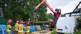 Interwencje związane z usuwaniem skutków silnego wiatru