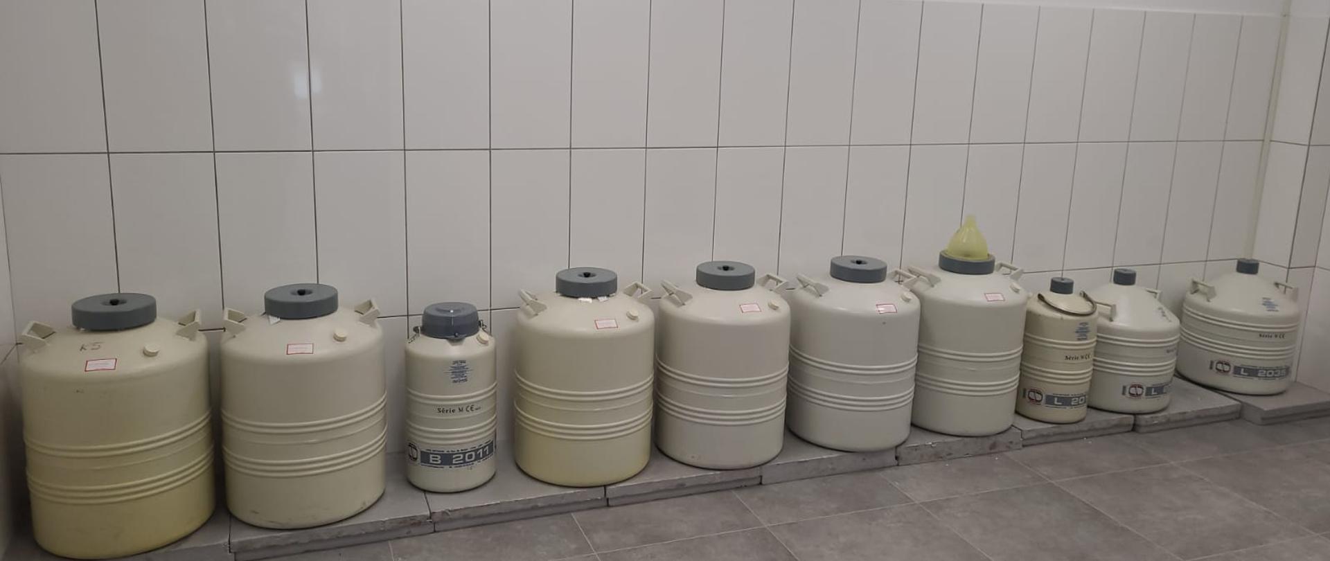 Bank Nasienia Ryb Łososiowatych w Wylęgarni Ryb „Dąbie” 