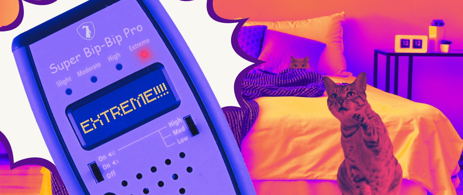 Ilustracja przedstawia zdjęcie sypialni. Na łóżku znad koca wystaje głowa kota. Drugi kot siedzi na pierwszym planie i podnosi łapkę. Na tle sypialni zdjęcie miernika PEM wyświetlającego na ekranie napis: Extreme.