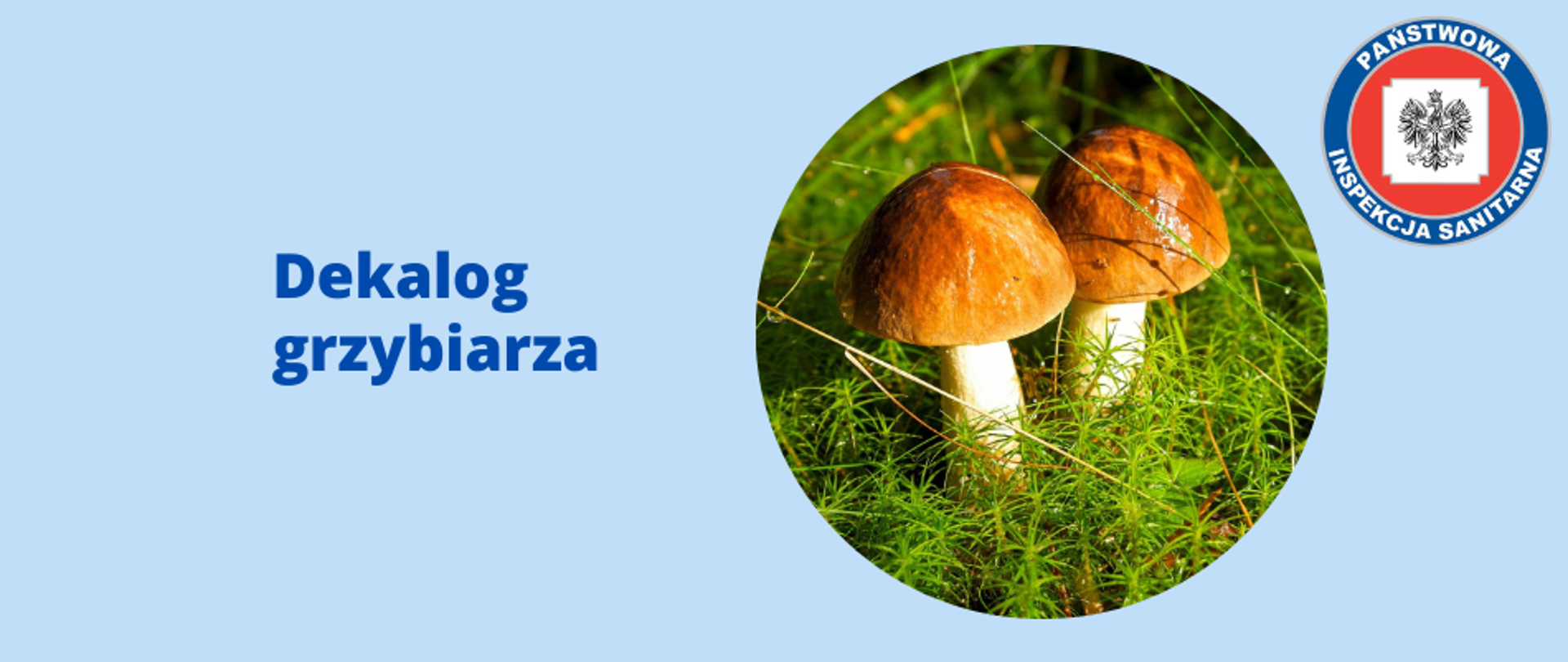 Dekalog_Grzybiarza_logo
