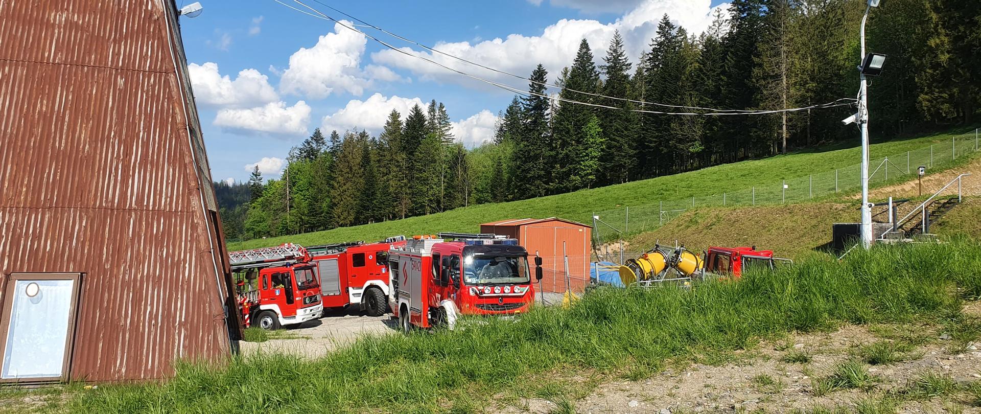 Oswalda Balzera – paralotniarz zawisł na drzewie