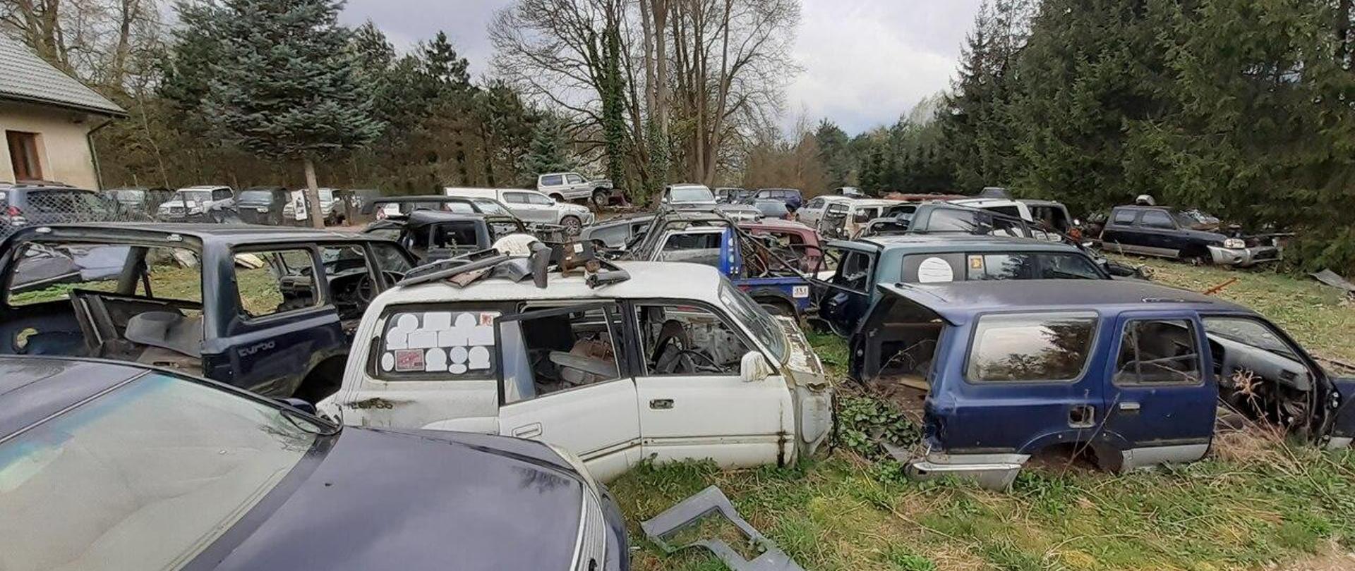 Kilkadziesiąt nadwozi oraz niekompletnych pojazdów osobowych stoi porzuconych na nieutwardzonym podłożu.