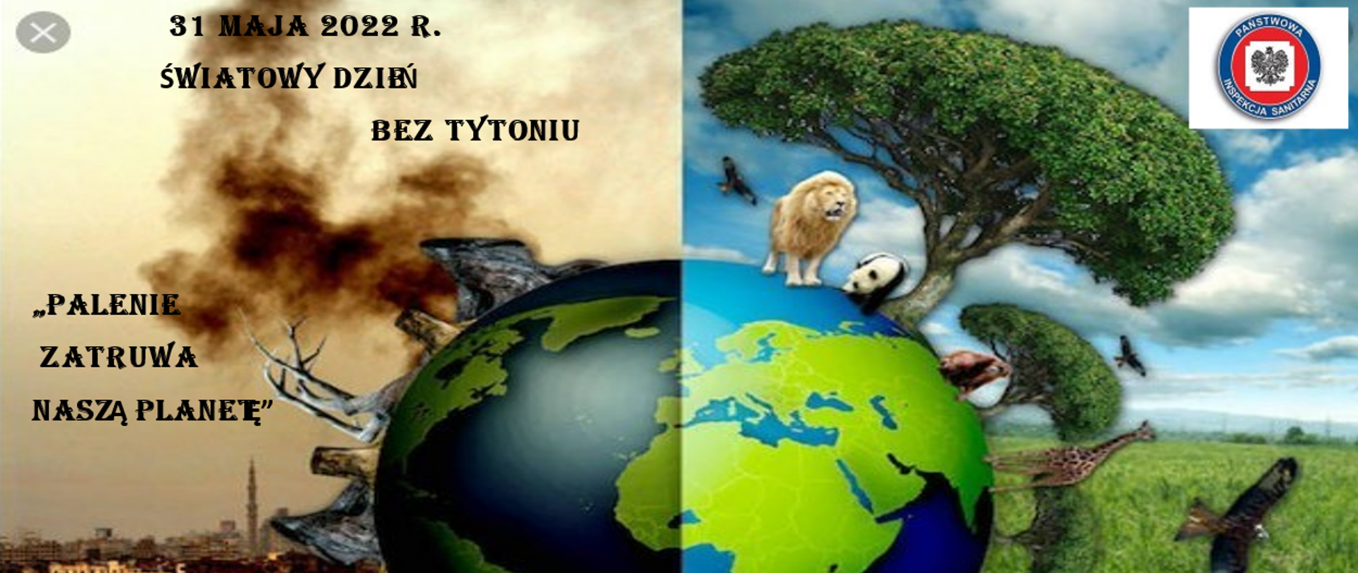 Światowy Dzień Bez Tytoniu
